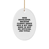 Funny Web Developer Oval Ornament Gifts from Men to Coworkers for Christmas Unique - Image 1